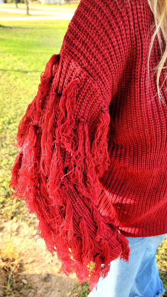 Fringe Sleeve Knit Sweater